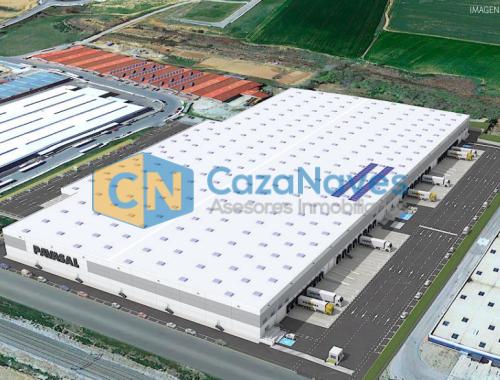 NAVE LOGISTICA EN ALQUILER EN ALOVERA