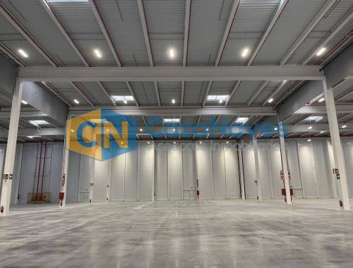 NAVE LOGÍSTICA EN ALQUILER EN PINTO