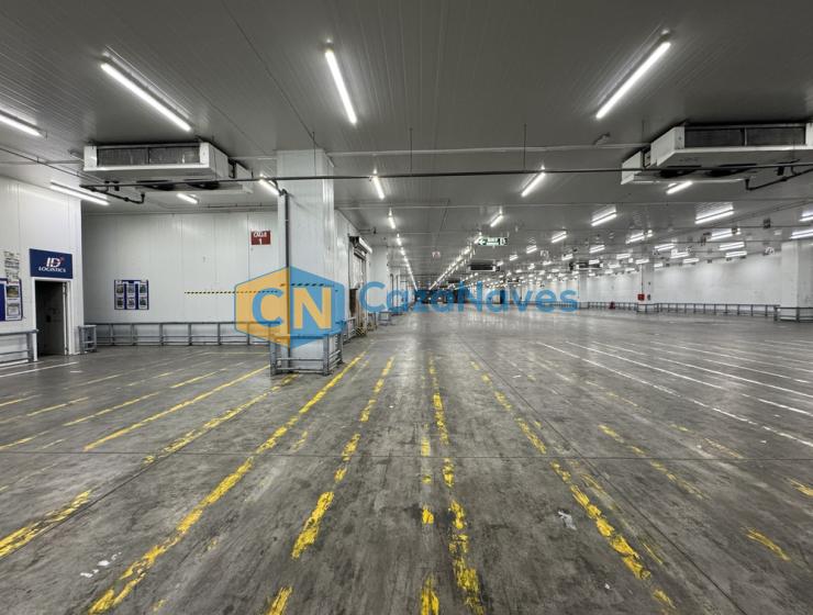 NAVE EN ALQUILER CON INSTALACIONES FRIGORIFICAS