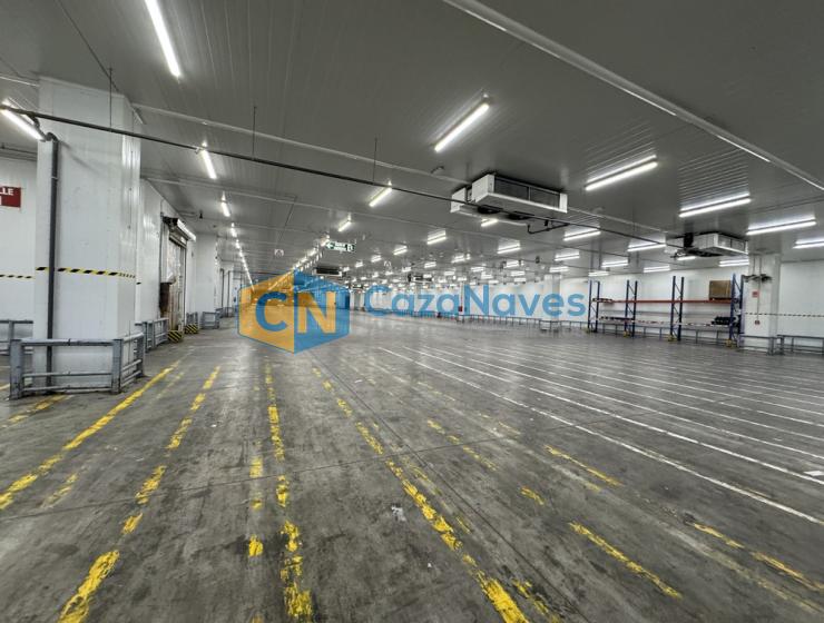 NAVE EN ALQUILER CON INSTALACIONES FRIGORIFICAS