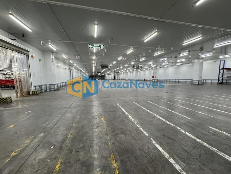 NAVE EN ALQUILER CON INSTALACIONES FRIGORIFICAS