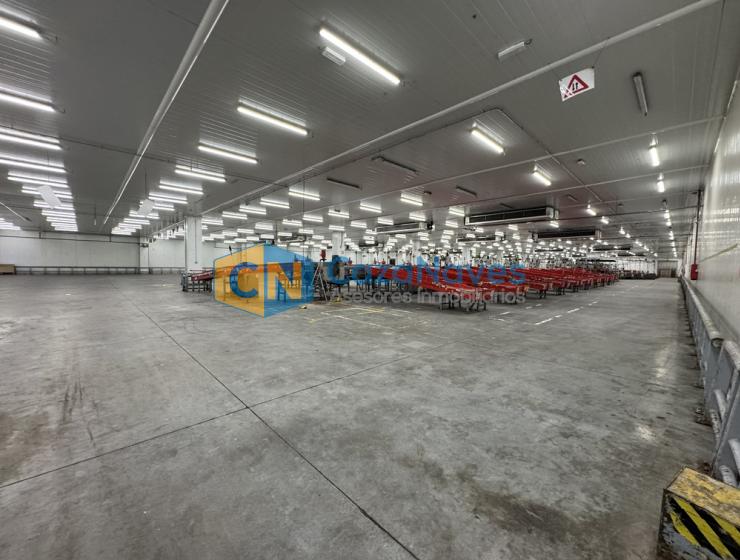 NAVE EN ALQUILER CON INSTALACIONES FRIGORIFICAS