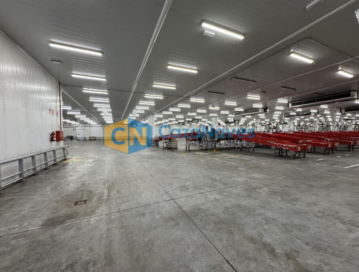 NAVE EN ALQUILER CON INSTALACIONES FRIGORIFICAS