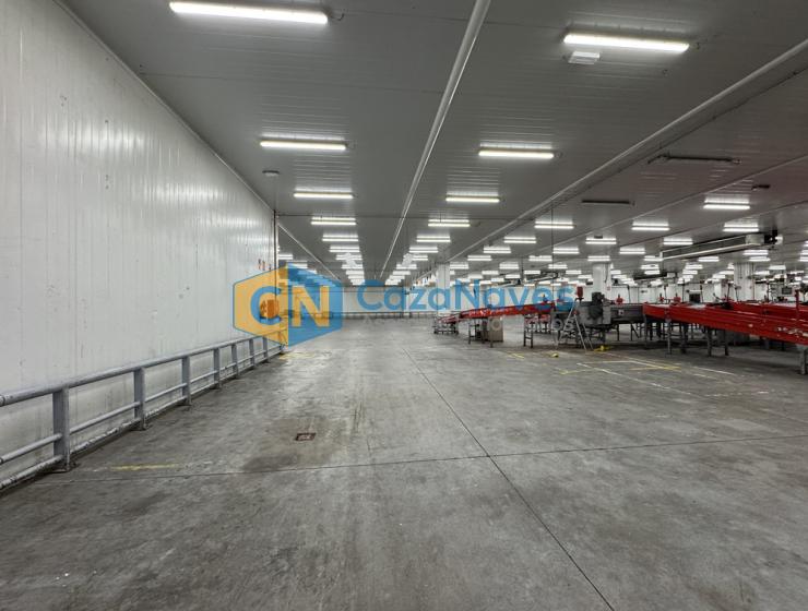NAVE EN ALQUILER CON INSTALACIONES FRIGORIFICAS