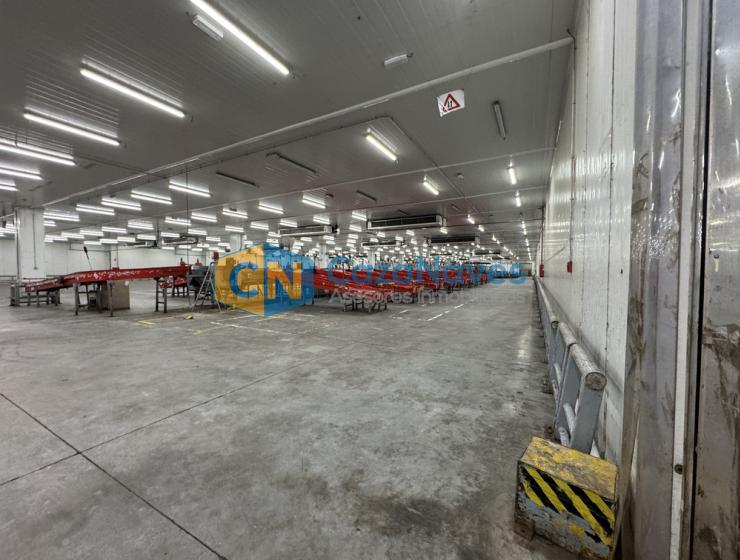 NAVE EN ALQUILER CON INSTALACIONES FRIGORIFICAS