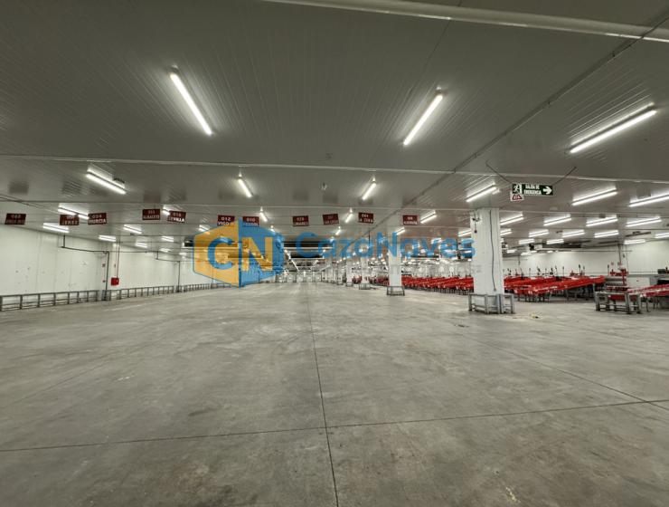 NAVE EN ALQUILER CON INSTALACIONES FRIGORIFICAS