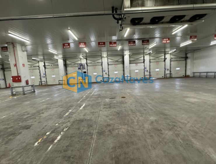 NAVE EN ALQUILER CON INSTALACIONES FRIGORIFICAS