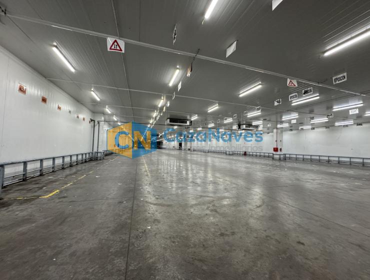 NAVE EN ALQUILER CON INSTALACIONES FRIGORIFICAS
