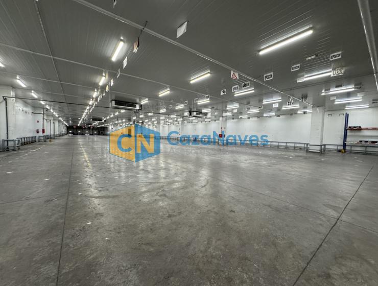 NAVE EN ALQUILER CON INSTALACIONES FRIGORIFICAS