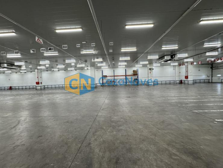 NAVE EN ALQUILER CON INSTALACIONES FRIGORIFICAS